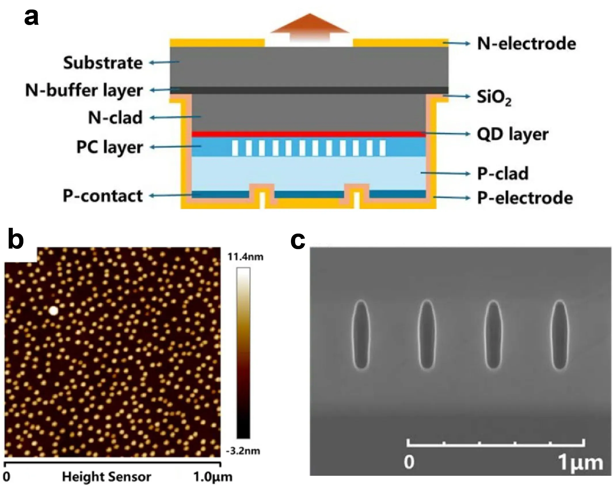 1.3μm 三晶格QD-PCSEL的器件结构